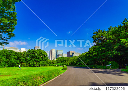 皇居東御苑・江戸城跡の公園の木々越しに見える、都会・丸ノ内・大手町・日比谷のビル（東京都千代田区） 117322006