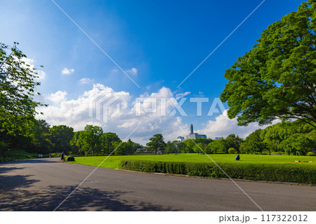 皇居東御苑・江戸城跡の公園の木々越しに見える、都会・丸ノ内・大手町・日比谷のビル(東京都千代田区) 皇居東御苑・江戸城跡の公園の木々越しに見える、都会・丸ノ内・大手町・日比谷のビル(東京都千代田区) 117322012