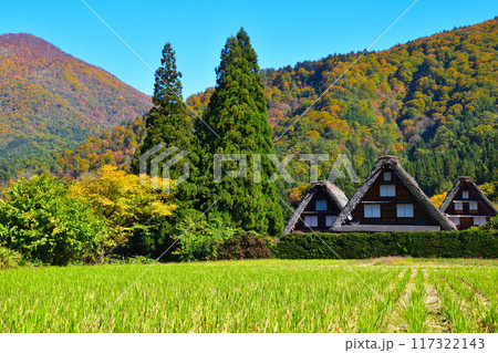 秋　白川郷　 117322143