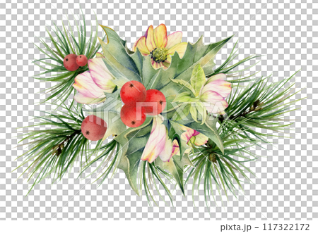 Hellebore flower, holly leaves berries, pine fir tree branches. Watercolor hand drawn illustration, composition isolated on white. Xmas, happy new year festive, noel navidad holiday. For cards, gifts. 117322172
