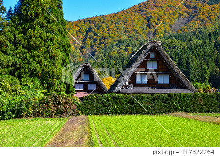 秋　白川郷　 117322264