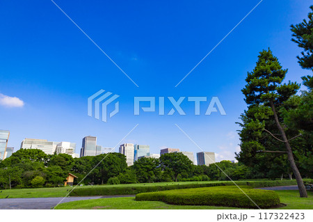 皇居東御苑・江戸城跡の公園の木々越しに見える、都会・丸ノ内・大手町・日比谷のビル（東京都千代田区） 117322423