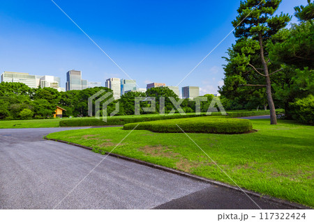 皇居東御苑・江戸城跡の公園の木々越しに見える、都会・丸ノ内・大手町・日比谷のビル（東京都千代田区） 117322424