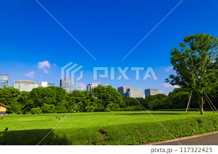 皇居東御苑・江戸城跡の公園の木々越しに見える、都会・丸ノ内・大手町・日比谷のビル(東京都千代田区) 皇居東御苑・江戸城跡の公園の木々越しに見える、都会・丸ノ内・大手町・日比谷のビル(東京都千代田区) 117322425
