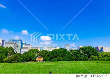 皇居東御苑・江戸城跡の公園の木々越しに見える、都会・丸ノ内・大手町・日比谷のビル（東京都千代田区） 117322427