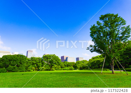 皇居東御苑・江戸城跡の公園の木々越しに見える、都会・丸ノ内・大手町・日比谷のビル（東京都千代田区） 117322428
