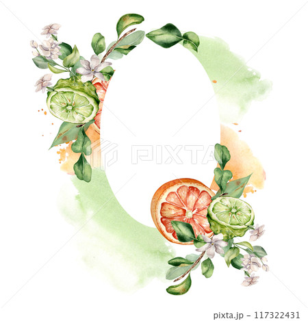 Citrus fruits and jasmine branch on watercolor paint stroke isolated in frame. Half bergamot hand drawn. Juicy summer plants in wreath with sliced ripe fruits. for greeting, label aroma product Citrus fruits and jasmine branch on watercolor paint stroke isolated in frame. Half bergamot hand drawn. Juicy summer plants in wreath with sliced ripe fruits. for greeting, label aroma product 117322431