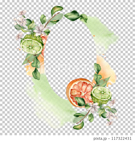 Citrus fruits and jasmine branch on watercolor paint stroke isolated in frame. Half bergamot hand drawn. Juicy summer plants in wreath with sliced ripe fruits. for greeting, label aroma product Citrus fruits and jasmine branch on watercolor paint stroke isolated in frame. Half bergamot hand drawn. Juicy summer plants in wreath with sliced ripe fruits. for greeting, label aroma product 117322431