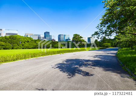 皇居東御苑・江戸城跡の公園の木々越しに見える、都会・丸ノ内・大手町・日比谷のビル（東京都千代田区） 117322481