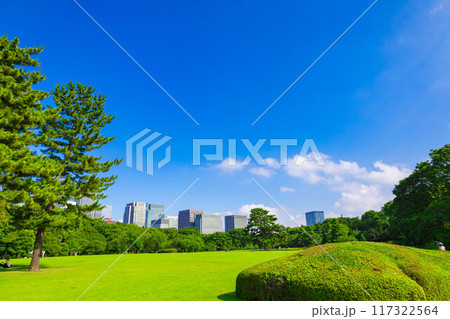 皇居東御苑・江戸城跡の公園の木々越しに見える、都会・丸ノ内・大手町・日比谷のビル（東京都千代田区） 117322564