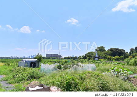 爽やかな青空とさいたま市の風景　東武野田線　埼玉県（さいたま新都心、大宮、大和田、方面の風景） 117322571