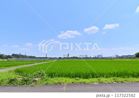 爽やかな青空とさいたま市の風景　東武野田線　埼玉県（さいたま新都心、大宮、大和田、方面の風景） 117322582