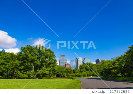皇居東御苑・江戸城跡の公園の木々越しに見える、都会・丸ノ内・大手町・日比谷のビル（東京都千代田区） 117322622
