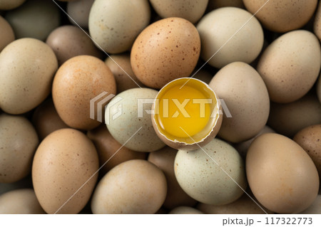 卵 たまご 玉子 117322773