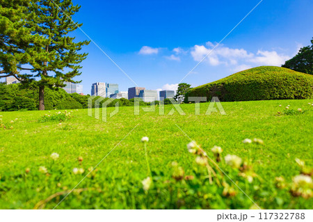 皇居東御苑・江戸城跡の公園の木々と花越しに見える、都会・丸ノ内・大手町・日比谷のビル（東京都千代田区 117322788
