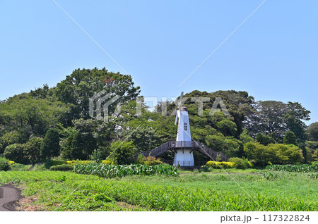爽やかな青空とさいたま市 見沼田んぼの・車のある風景 見晴公園 (埼玉県・さいたま市) 爽やかな青空とさいたま市 見沼田んぼの・車のある風景 見晴公園 (埼玉県・さいたま市) 117322824