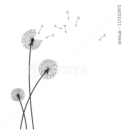Dandelion wind blow background. Black silhouette with flying dandelion buds on white. Abstract flying seeds. Decorative graphics for printing. Floral scene design 117322972
