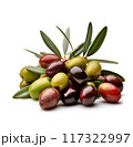 Sweet olives on white backgrounds 117322997