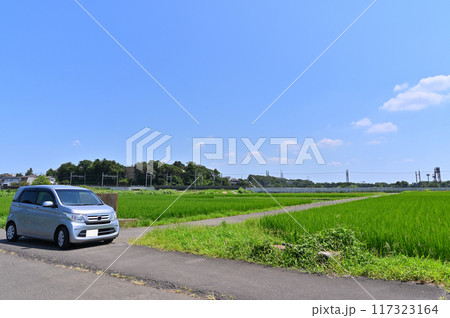 爽やかな青空と見沼田んぼ 埼玉県・さいたま市 爽やかな青空と見沼田んぼ 埼玉県・さいたま市 117323164