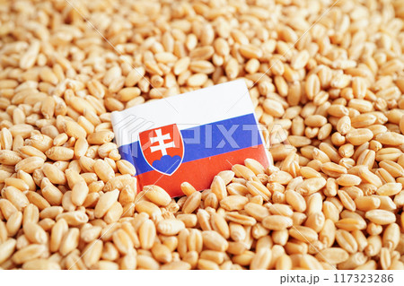 Slovakia flag on grain wheat, trade export and economy concept. Slovakia flag on grain wheat, trade export and economy concept. 117323286
