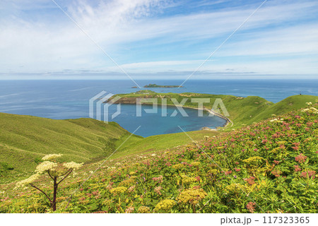 礼文島・ゴロタ岬からスコトン岬を望む 礼文島・ゴロタ岬からスコトン岬を望む 117323365
