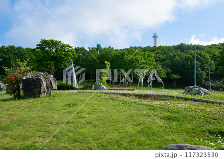 夏の稚内公園風景 117323530