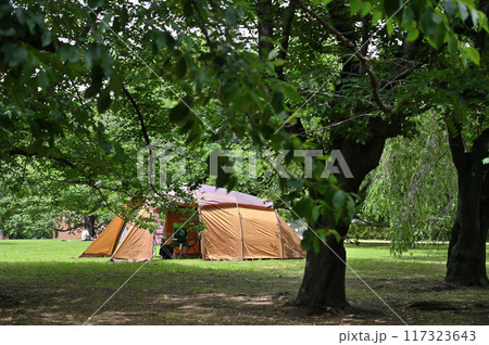 アウトドア キャンプ 公園 (埼玉県・さいたま市・市民の森・見沼グリーンセンター) アウトドア キャンプ 公園 (埼玉県・さいたま市・市民の森・見沼グリーンセンター) 117323643