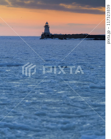 流氷に覆われた根室港の灯台 / Nemuro, Japan 117323839