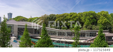 原宿駅のパラのラマ風景 原宿駅のパラのラマ風景 117323849
