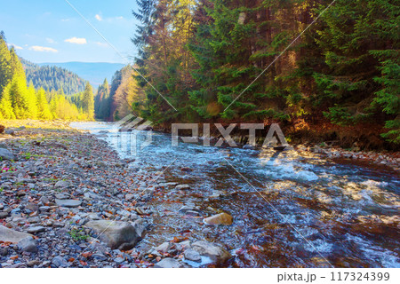 mountainous countryside scenery in the valley with shallow river. carpathinan nature landscape in fall season. rocky shore. bright sunny weather in autumn 117324399