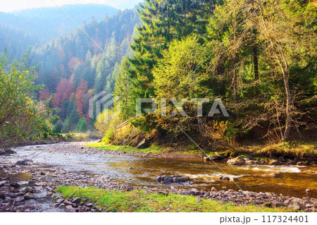 mountainous countryside scenery in the valley with shallow river. carpathinan nature landscape in fall season. tranquil golden afternoon. warm sunny weather in autumn mountainous countryside scenery in the valley with shallow river. carpathinan nature landscape in fall season. tranquil golden afternoon. warm sunny weather in autumn 117324401