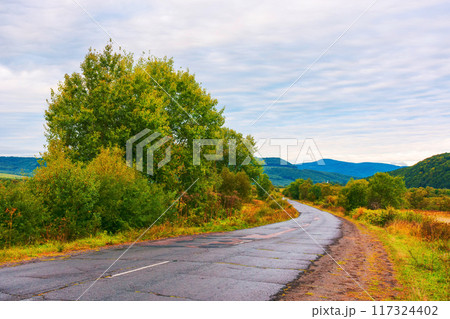 Empty asphalt mountain road near the deciduous forest with cloudy sky in morning light Empty asphalt mountain road near the deciduous forest with cloudy sky in morning light 117324402
