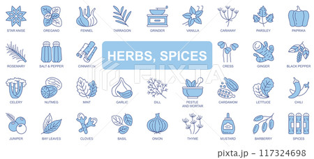 Herbs and spices icons set in duotone outline stroke design for web. Pack pictograms of star anise, oregano, fennel, tarragon, vanilla, caraway, parsley, paprika, rosemary, other. Vector illustration. 117324698
