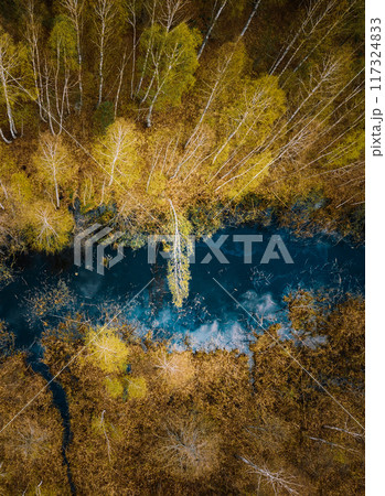Spring Season. Aerial View. Young Birches Grow Among Small Marsh Bog Swamp. Deciduous Trees With Young Foliage Leaves In Landscape In Early Spring 117324833