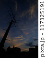 夕暮れとアンテナ 117325191