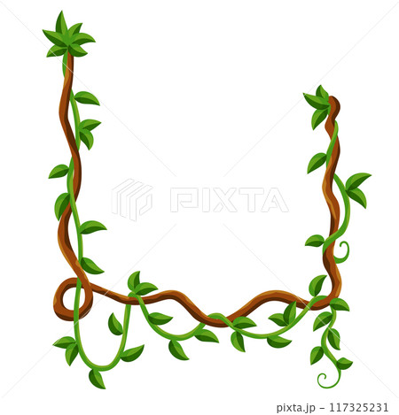 Liana jungle frame. Rainforest liana wild greenery. Cartoon plant, creeper branch. Grass and wood leaf sign. Botany texture. Vector forest game element Liana jungle frame. Rainforest liana wild greenery. Cartoon plant, creeper branch. Grass and wood leaf sign. Botany texture. Vector forest game element 117325231