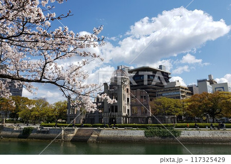 桜満開の原爆ドーム 桜満開の原爆ドーム 117325429