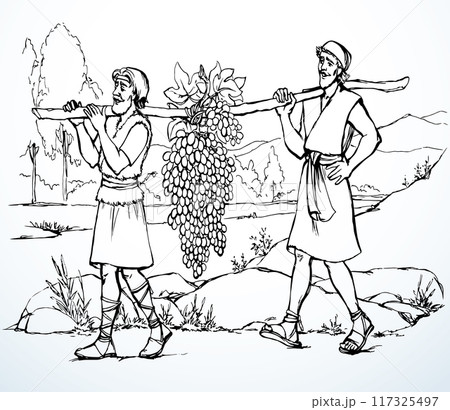 Vector drawing. Two men bear a grape. Vector drawing. Two men bear a grape. 117325497