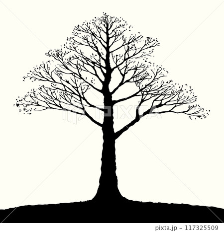 Vector drawing. Big bare tree 117325509