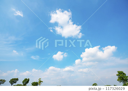 夏の雲と木立 117326029