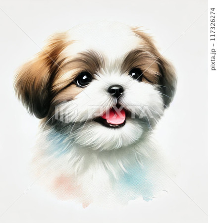 シーズー犬 シーズー犬 117326274