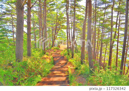 東北・北山崎・第二展望台へ進む遊歩道のイメージ・岩手県田野畑村(2) 東北・北山崎・第二展望台へ進む遊歩道のイメージ・岩手県田野畑村(2) 117326342