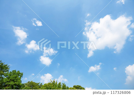 夏の雲と木立 117326806