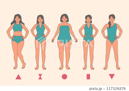 Anatomy woman body types and different species figures that affect size of breasts and hips or waist 117326876