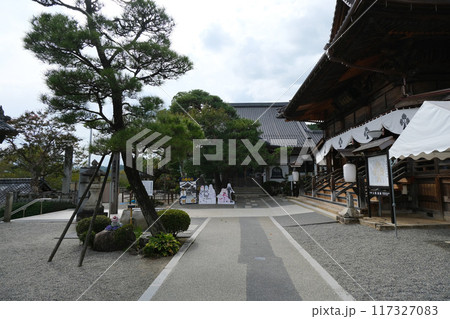 長野県飯田市_元善光寺5_2023年10月 長野県飯田市_元善光寺5_2023年10月 117327083