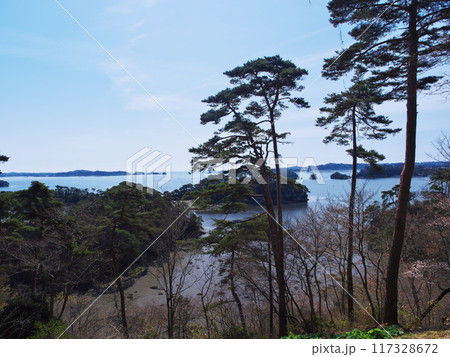 早春の宮城県　瑞鳳ヶ丘から松島湾西半部の島々の眺め 117328672