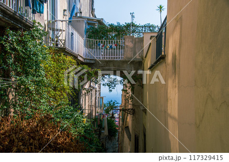 イタリアのナポリのきれいな街並み 117329415