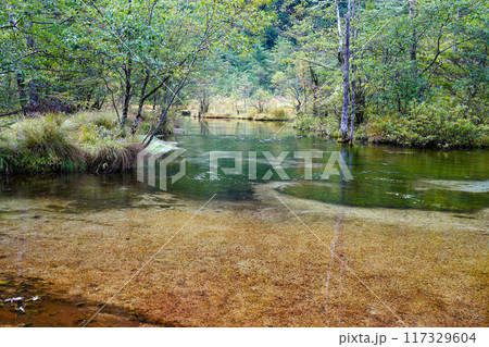 初秋の上高地 田代池 初秋の上高地 田代池 117329604