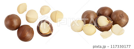 macadamia nuts isolated on white background with full depth of field. Top view. Flat lay. 117330177
