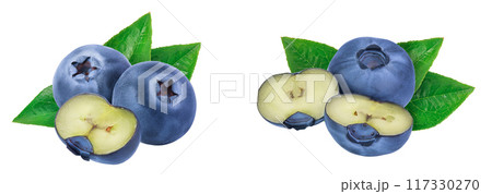 fresh blueberry and half isolated on white background closeup with full depth of field fresh blueberry and half isolated on white background closeup with full depth of field 117330270
